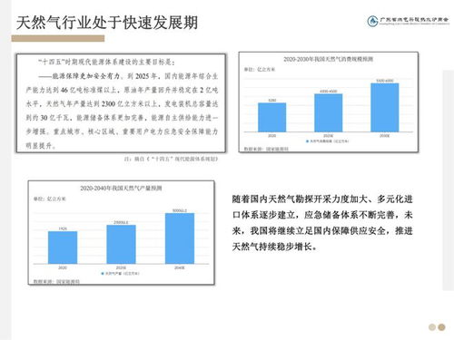 雙碳背景下的供熱革命 全預(yù)混冷凝爐技術(shù)推廣之路